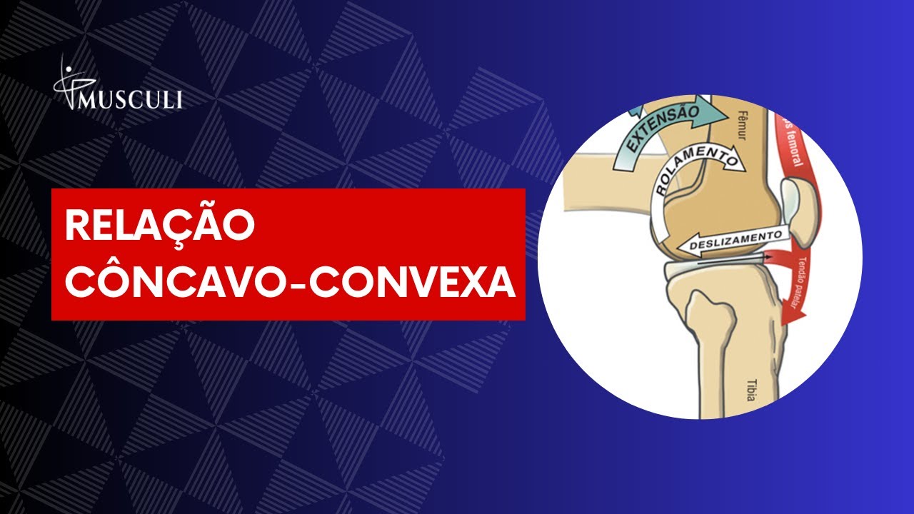 Osteocinemática vs Artrocinemática - Cinesiologia e Biomecânica