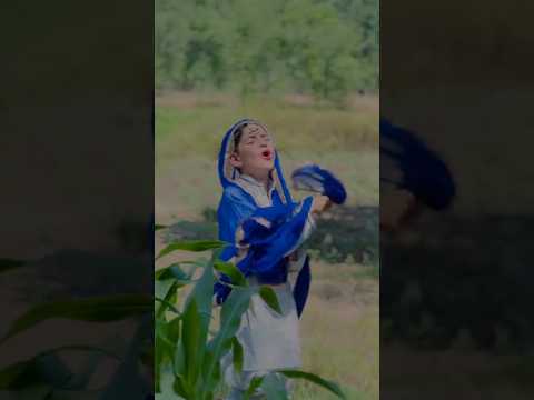 Afaq aw Nafees new funny video 🤣 || bebo bia raghla #pktv #duet #jazbaa #adamasali #deewangi