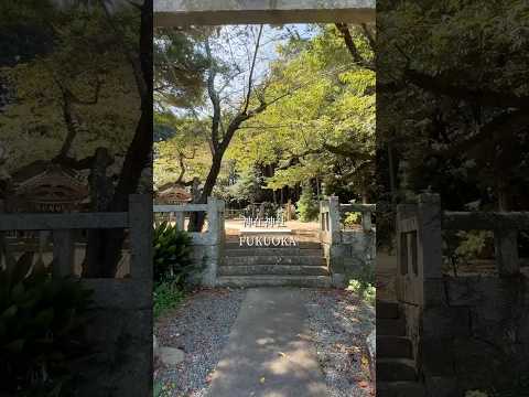 クロスロードふくおか　福岡県観光連盟【公式】
