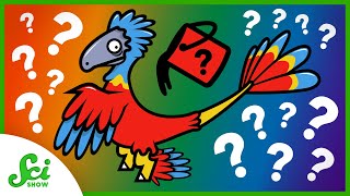 Paleontology's Technicolor Moment