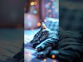 Rainy Day Rescue The Story Of A Gray Tabby Cat