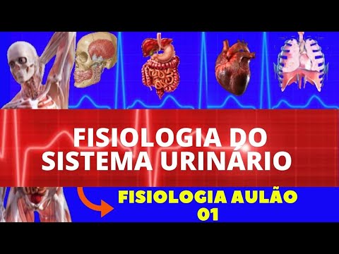 FISIOLOGIA DO SISTEMA URINÁRIO/EXCRETOR (FISIOLOGIA DE GUYTON) - FISIOLOGIA RENAL - AULÃO FISIOLOGIA