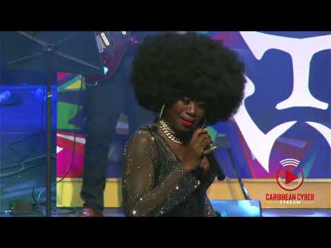 Terri Lyons - Cant Take My Joy | LIVE VERSION