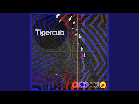 Download Tigercub - Funeral MP3
