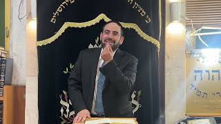 הרב מאיר פנחסי - פסח בהלכה ובאגדה התשפ"ד