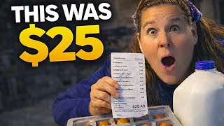 $25 Amazon Groceries — How This Still Feeds Us on a Tight Budget