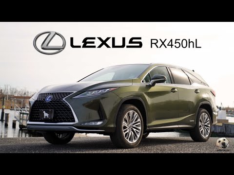 2020 Lexus RX450hL: Andie the Lab Review! Video