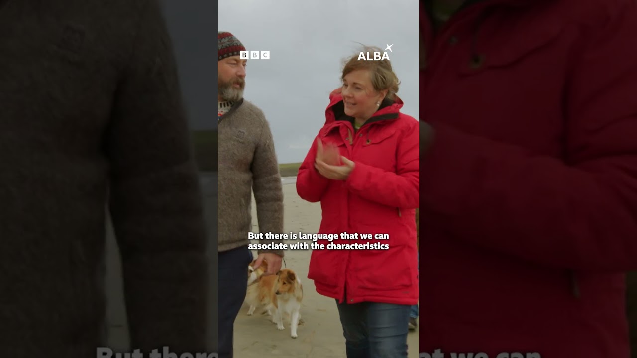 Shetland Dialect - Cù Leis Thu? Pàdruig To The Rescue | BBC ALBA