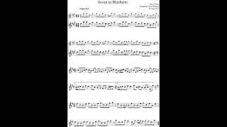 Clip of Seven in Blenheim