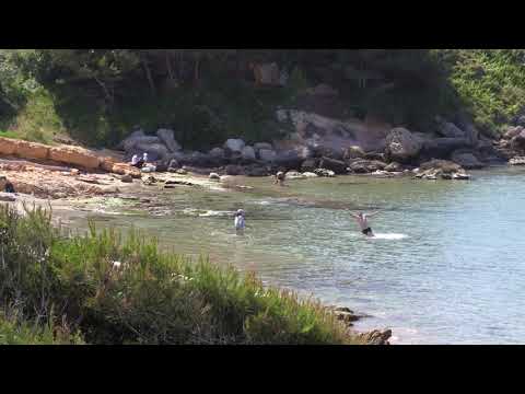 Visit Salou - Platges