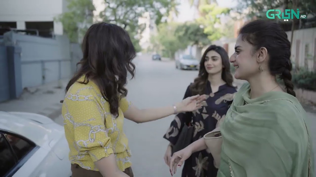 Tere Ishq Mein Sab Kho Diya | Rahguzar | Hira Mani - Mohib Mirza | Green TV