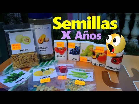 , title : 'Como conservar SEMILLAS por AÑOS'