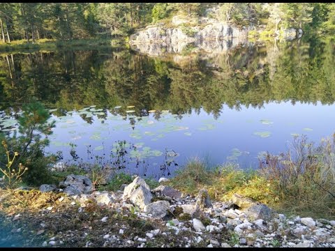 Langtur Innom Froland #cycling #norway