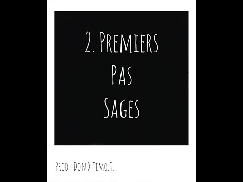 Timo T - Premiers Pas Sages