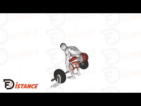 Exercice Soulevé de terre avec chaînes