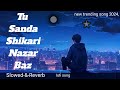 Tu Sanda Shikari Nazar Baz Full Song Tik Tok Viral Song Trending Lofi Song ​