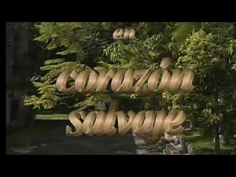 (Manuel Mijares) Corazon Salvaje - Tv Y Novelas 2