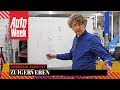 Zuigerveren - Cornelis schetst