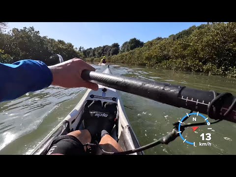 Pakuranga Creek paddle - Epic V10L surfski