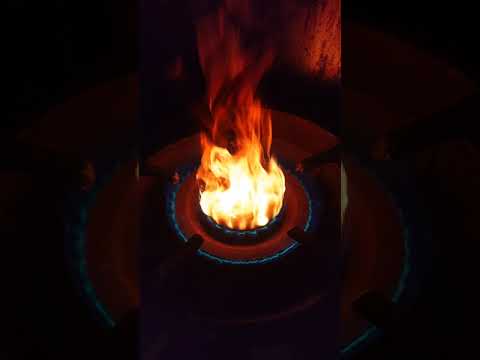 庭で段ボールをどうやって使う？過小評価されない 4 つの賢い使い方  庭園