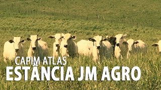 preview picture of video 'Capim Altas (Estância JM Agropecuária)'
