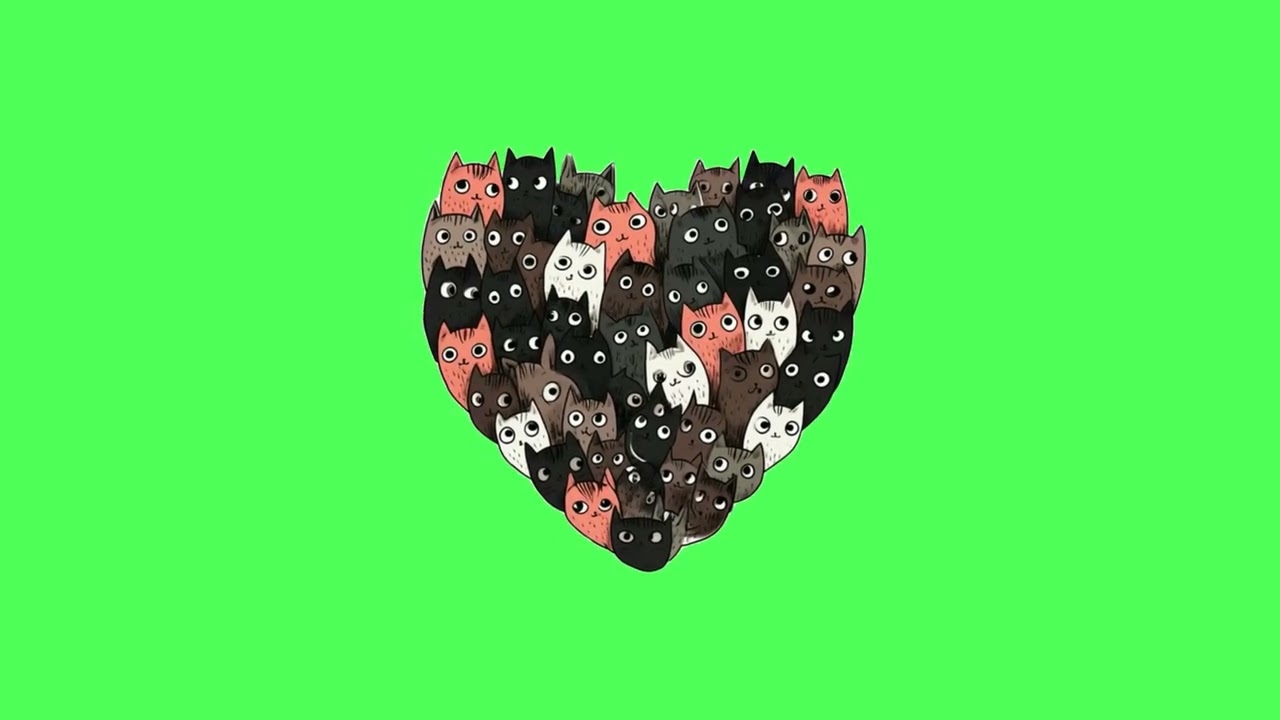 Cat in love green screen @TechLibraryhindi