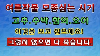 [텃밭농부 1,843]  여름작물인 고추.수박.참외 모종 언제 심을까? #고추재배 #수박재배 #참외재배