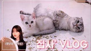 과즙세연 Watch HD Mp4 Videos Download Free