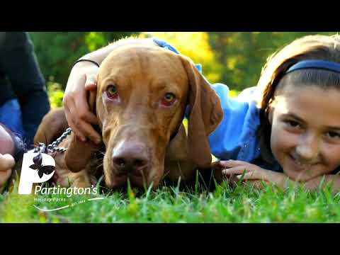 Voiceovers YouTube video thumbnail - Partington's Holiday Parks