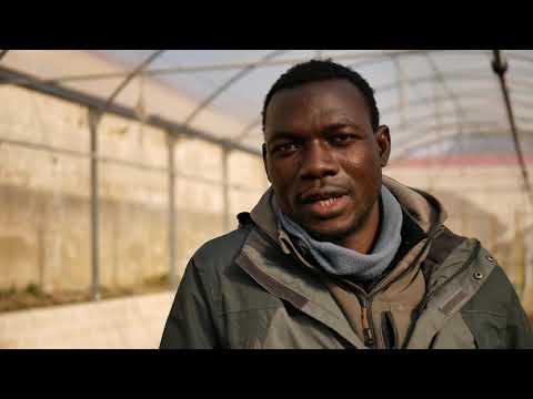 LA DESIGUALDAD EN LA SALUD, NUESTRA PEOR ENFERMEDAD