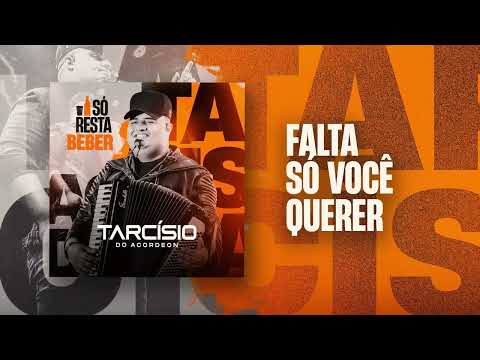 Falta Só Você Querer - Tarcísio do Acordeon