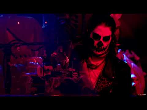 The Distillers - Coral Fang - acoustic