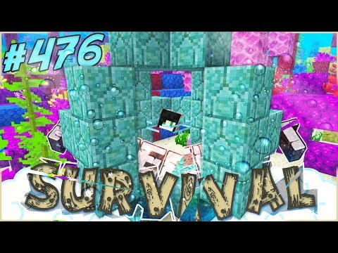 L'OGGETTO PIÙ RARO DEI MARI DELLA 1.13 - Minecraft ITA - Survival #476