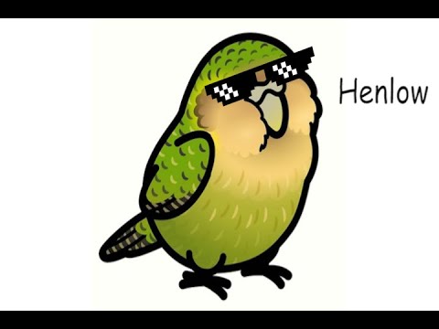Kakapo