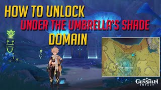 How to Unlock Domain Under The Umbrella