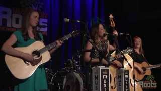 Della Mae &quot;Pine Tree&quot;