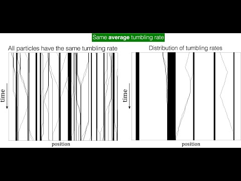 Misturas ativas em um canal estreito: Diversidade de motilidade e aglomerados | Pablo de Castro