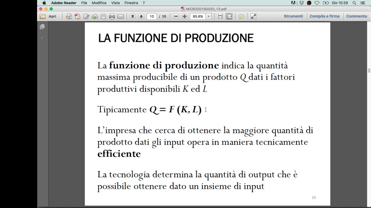 Lezione 13.2: La funzione di produzione nel breve periodo (I)