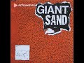 Giant Sand -  Wishing Well