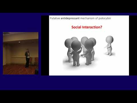 Psychedelic Neuroscience: Katrin Preller (Part 3)