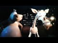 Madagascar WTF Boom Reupload