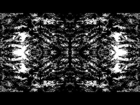 VILDHJARTA - Dimman (New Track!)