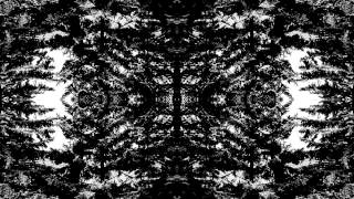 VILDHJARTA - Dimman (New Track!)