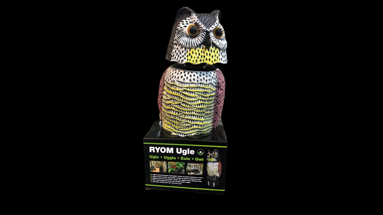 Skremmeugle - Naturlig størrelse - Ryom