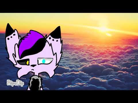 EveryDay meme [Collab] Video