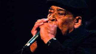 James Cotton - Flip Flop Fly [LIVE, BOOTLEG]