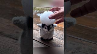 Snow, Cuddles, and Burgers 😍 #cute #adorable #pet #penguin #babyanimals #fluffy #cuteanimal