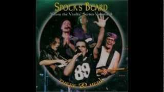 Spock's Beard - Revelation (There & Here Live - 04)