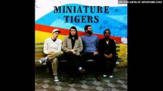 Miniature Tigers - Tropical Birds