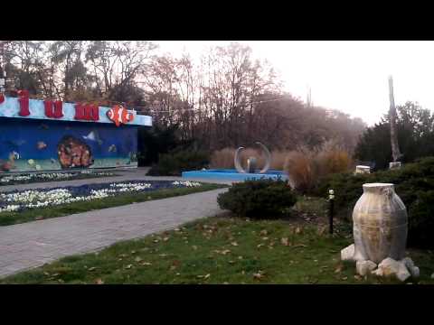 Allview P4 Duo video sample - Mobilissimo.ro